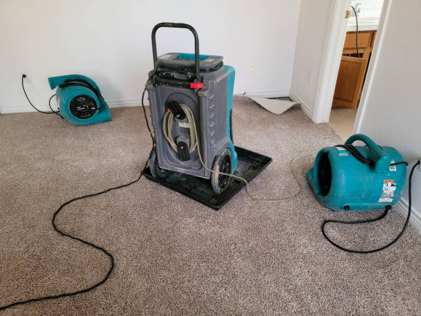 Best Carpet and Upholstery Water Damage Restoration in Cotati, CA